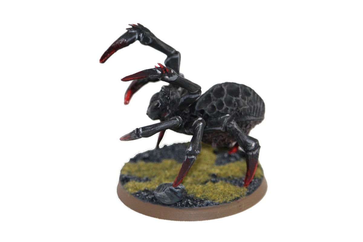 Monstrous Spider