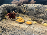 Ochre Jellies